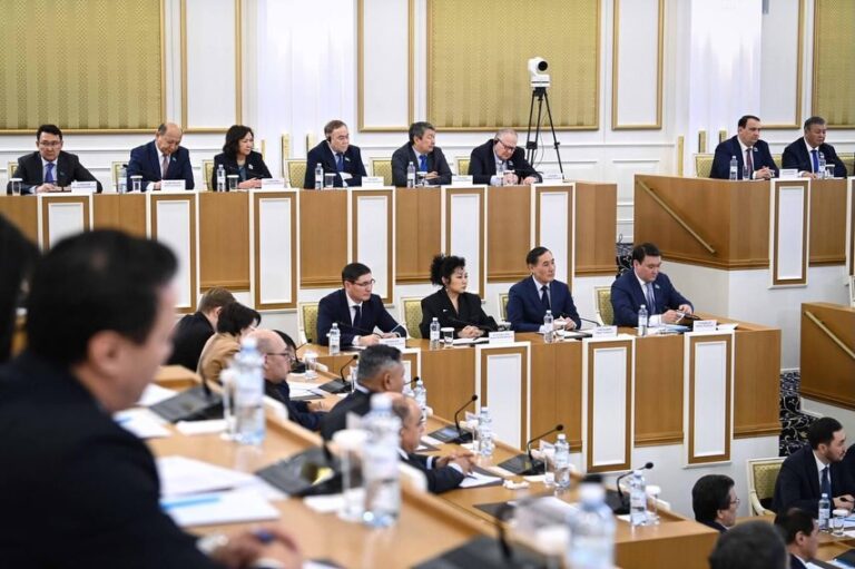 Білім мен ғылым, мәдениет пен инновация жаңа Конституция жобасының өзегіне айналдыҚазақстанда жа